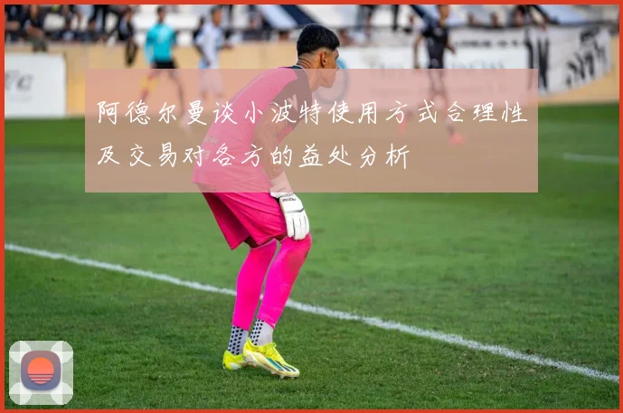 阿德尔曼谈小波特使用方式合理性及交易对各方的益处分析