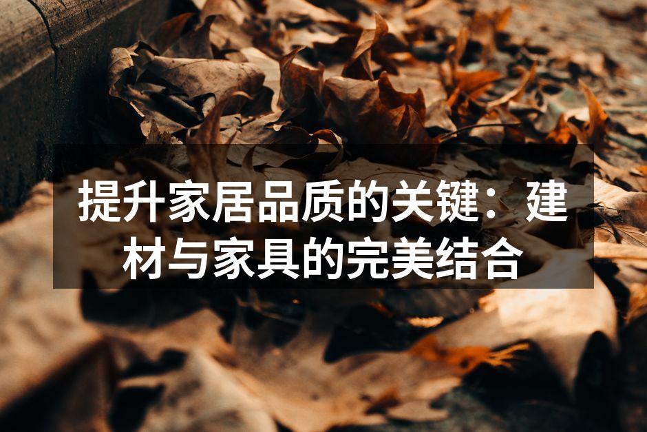 提升家居品质的关键：建材与家具的完美结合